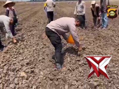 Penanaman jagubg dalam rangka mendukung ketahanan pangan