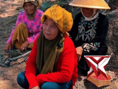 Penanaman Jagung? - PoliceTube