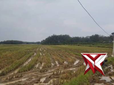 Anggota polsek belitang II melaksanakan giat patroli - PoliceTube