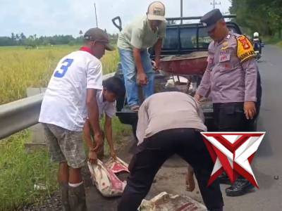 @ok.Polsek Tugumulyo dalam kegiatan belida - PoliceTube