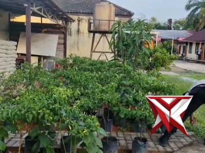 Polisi melakukan kegiatan penanaman untuk ketahanan pangan IK3