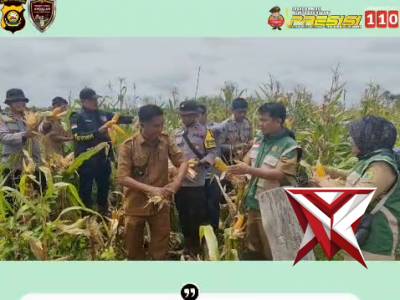 PANEN JAGUNG ?

Polsek Sanga Desa Bersama Masyarakat melaksanakan Kegiatan panen jagung tahun 2026