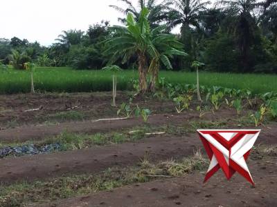 Polsek mgs - PoliceTube