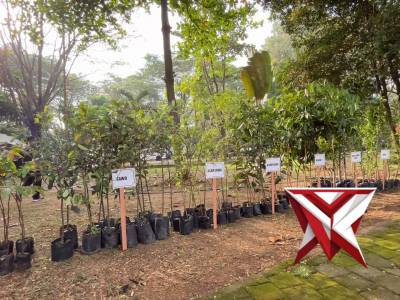 Polres Ngawi melaksanakan Program Peduli Lingkungan melalui Penanaman Pohon Serentak di lahan konser - PoliceTube