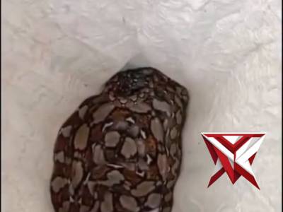 Respon cepat Polsek Bendo! ?? Menindaklanjuti laporan masyarakat melalui Call Center Polri 110 t - PoliceTube