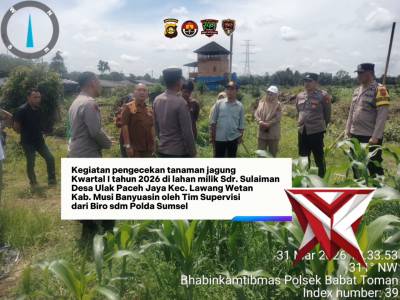 Penanaman jagung Polsek babat Toman,,,