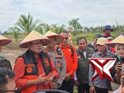 Panen raya jagung di kecamatan Air salek