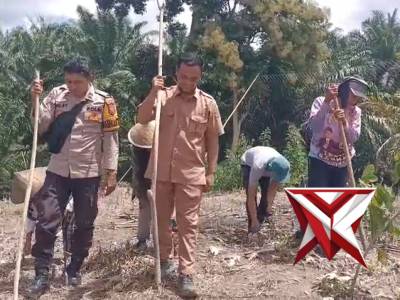 BHABINKAMTIBMAS POLSEK PINO MELAKUKAN PENANAMAN JAGUNG DI DESA KOTA BUMI KEC PINO