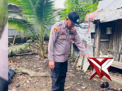 Cek ketahanan pangan ternak ayam kampung milik warga - PoliceTube