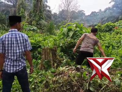 kegiatan kurveyy anggota polsek - PoliceTube