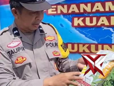 Penanaman jagung kwartal II tahun 2026