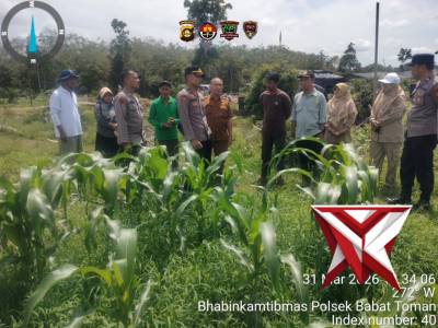 Pengecekan jagung di desa Ulak paceh