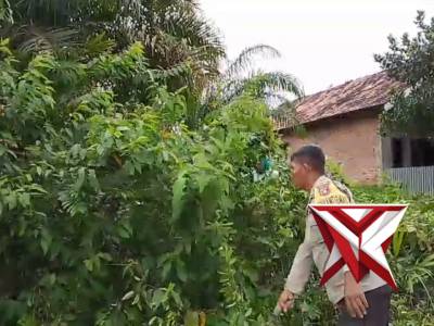 Bhabinkamtibmas desa Tanjung Menang melakukan Baksos membersihkan Lingkungan