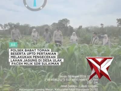 Polsek babat Toman dan UPTD pertanian melaksanakan pengecekan lahan jagung di desa ulak paceh