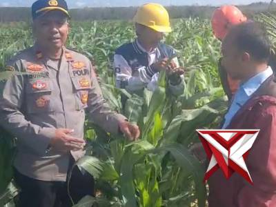 Ketahanan Pangan, Kunci Masa Depan Bangsa - PoliceTube