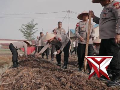 Dansatbrimob Polda Kalbar memimpin langsung pelaksanaan kegiatan penanaman jagung memanfaatkan lahan - PoliceTube