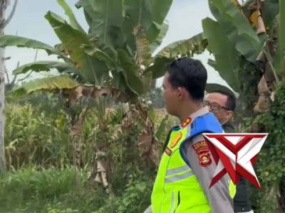 Perkuat Ketahanan Pangan, Kapolres Musi Rawas Tinjau Hasil Panen Jagung - PoliceTube