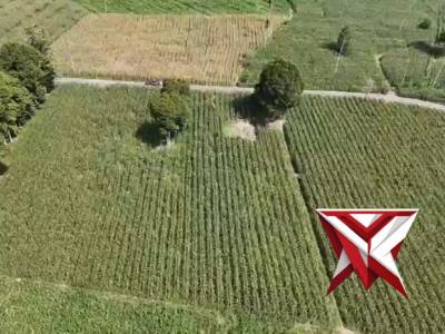 POLSEK BANDING AGUNG