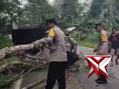 ?Gerak Cepat Polsek Muara Beliti Polres Musi Rawas Evakuasi Pohon Tumbang di Jalinsum - PoliceTube