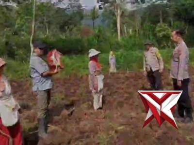 PENANAMAN JAGUNG BERSAMA PPL