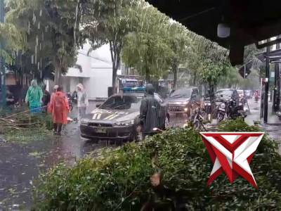 Hujan Lebat, Polisi Evakuasi Pohon Tumbang di Jalan Kapten Tendean Wirobrajan Yogyakarta