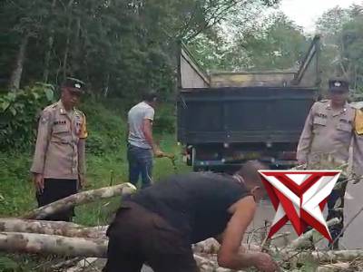 pembersihan pohon tumbang oleh polsek muara beliti