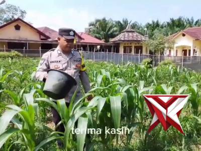 Kegiatan Pesonil polsek pampangan polres oki hadir