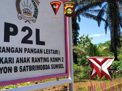 SATBRIMOB POLDA SUMSEL Personel Batalyon B Pelopor kompi 2 melaksanakan giat perawatan di kebun P2L
