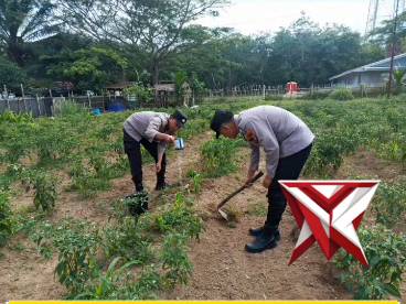 Polres OKI Polsek pampangan