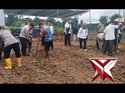 Penamaan Jagung - PoliceTube