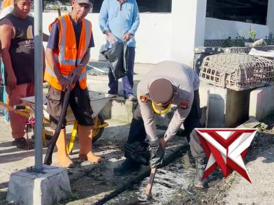 polsek mesuji makmur