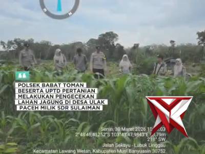 Polsek babat toman polres muba melakukan pengecekan lahan jagung 1.2