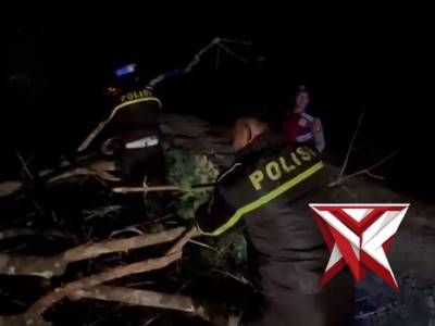 Giat anggota polres Mura, membersihkan pohon tumbang d jalan..C6