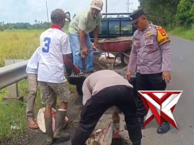 @ok.Polsek Tugumulyo dalam kegiatan belida - PoliceTube