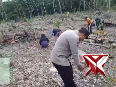 Ketahanan pangan nasional