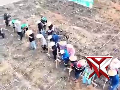 Polsek Lais melaksanakan giat penanaman jagung ???????