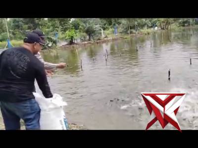Bhabin Polsek Jejawi sambang cek ketahanan pangan tambak ikan patin milik warga Desa Jejawi OKI