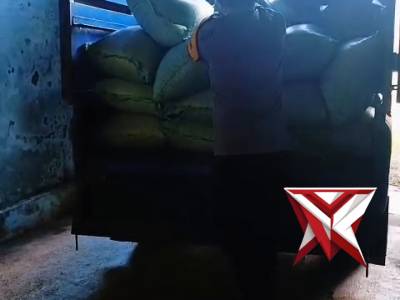 ? Penyerapan Jagung Kuarta II - PoliceTube