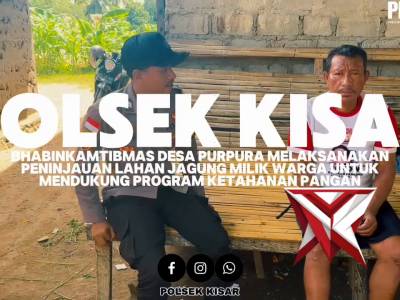 Bhabinkamtibmas desa purpura polsek kisar meninjau lahan jagung milik warga binaan