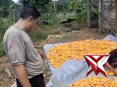 Ketahanan pangan nasional - PoliceTube