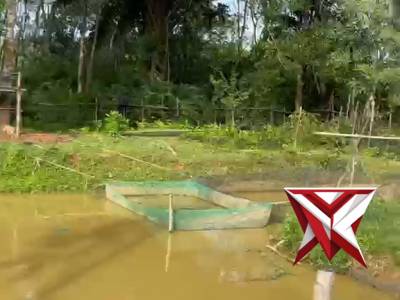 Kolam ikan lele dukung ketahanan pangan mandiri