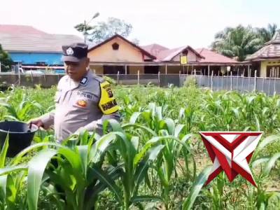 Kegiatan pesonil polsek pampangan