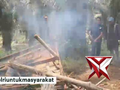 Polres Binjai Kembali Grebek Dan Musnahkan Barak Narkoba Di Kecamatan Selesai