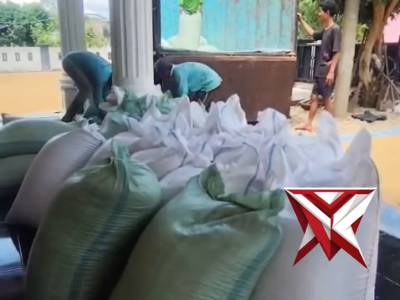 Pengecekan panen jagung desa sumber harta kec.Sumber harta Kab.Mura