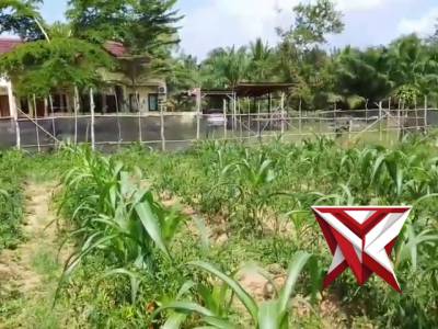 ketahanan pangan Polsek Pampangan