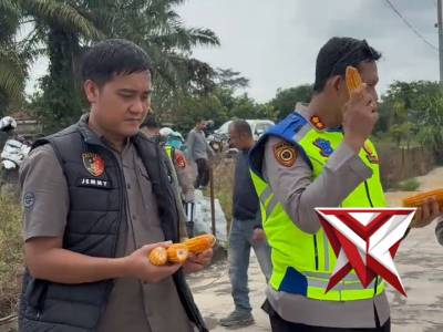 Perkuat Ketahanan Pangan, Kapolres Musi Rawas Tinjau Hasil Panen Jagung