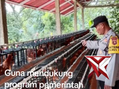 Cek dan kontrol ketahanan Pangan Polsek Pampangan