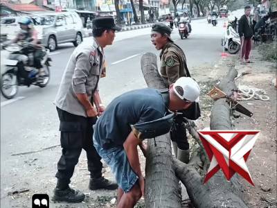 Evakuasi Pohon Tumbang di Jalan Raya Garut&ndash;Bandung