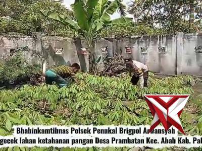 Bhabinkamtibmas Polsek Penukal Cek Lahan Ketahanan Pangan di Desa Prambatan Bersama Warga