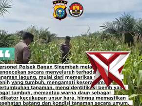 ketahanan pangan polsek bagan sinembah